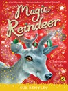 A Christmas Wish (eBook)